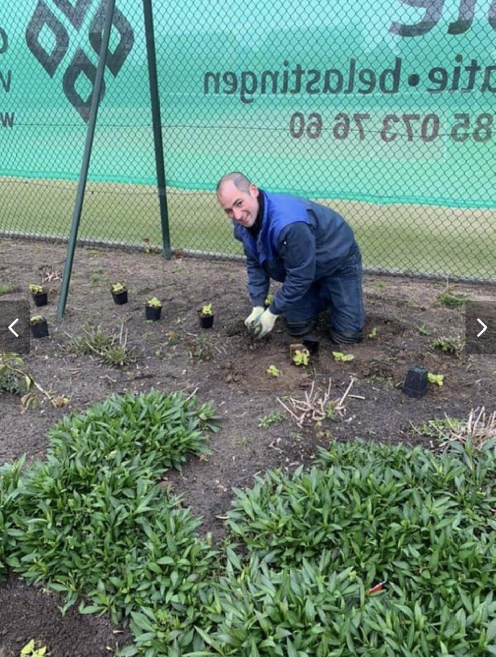 Nieuwe plantjes voor de bijen- en vlinderstrook.